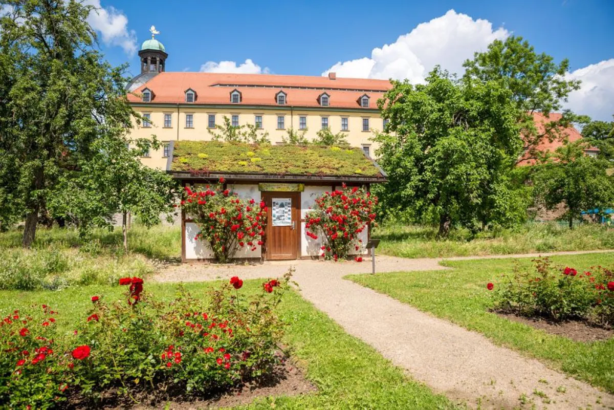 Schlosspark Moritzburg Zeitz. Foto: Rene Weimer