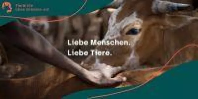 Bild: Tierärzte ohne Grenzen e. V. in neuem Glanz mit neuem Corporate Design.