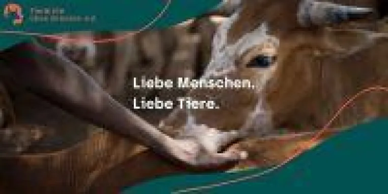 Bild: Tierärzte ohne Grenzen e. V. in neuem Glanz mit neuem Corporate Design.
