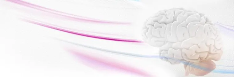 Bild: Hirnanatomie: Mit der Landkarte durch den Kosmos im Kopf