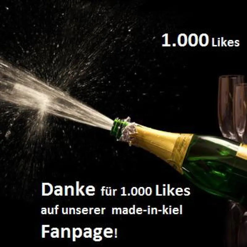 1.000 Fans innerhalb von 3 Monaten