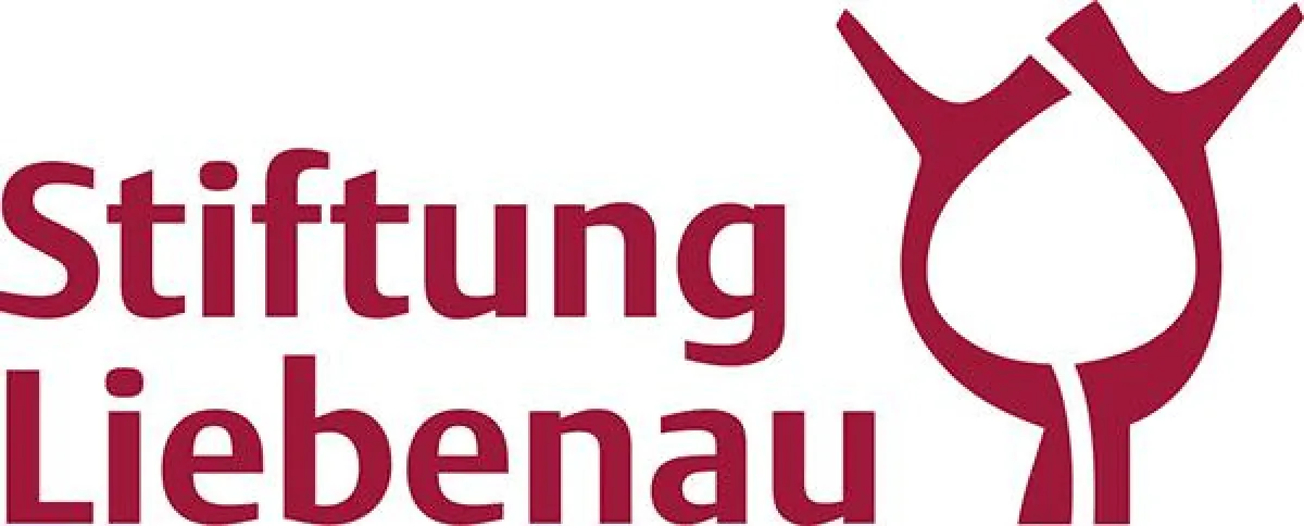 Das neue Logo der Stiftung Liebenau