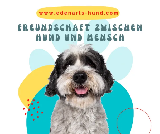 Unsere besten Freunde Bild: Unsere besten Freunde
