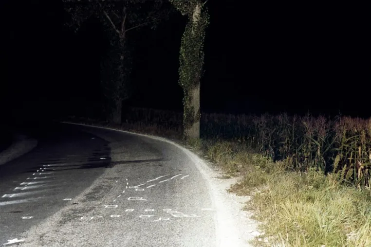 Bild: – Raffael Waldner – “PARK” – Fotografie - Vernissage Mi, 20.02.2008, ab 19.00 Uhr