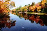 7 Mile Lake im Herbst - atemberaubende Seegrundstücke in Kanada Bild: 7 Mile Lake im Herbst - atemberaubende Seegrundstücke in Kanada