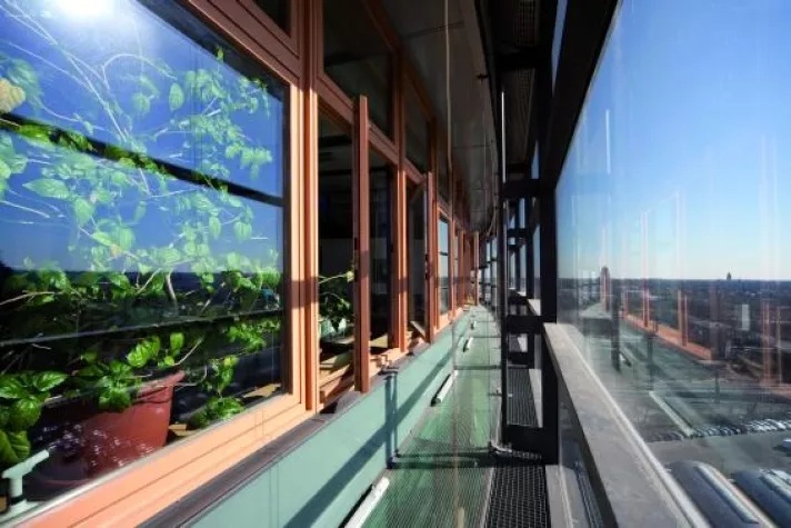 Bild: Seidenglanz fürs Sendezentrum