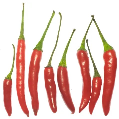 Bild: Für Schärfe-Fans: Fotoseminar „Knackig scharfe Fotos“ in Hannover