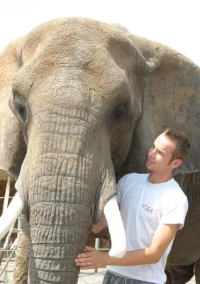 Verwunderung und Unverständnis über Speyerer Stadtratsbeschluß Bild: Verwunderung und Unverständnis über Speyerer Stadtratsbeschluß