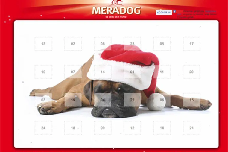 Bild: Im Meradog Adventskalender gibt es täglich unterhaltsame und wertvolle Überraschungen für alle Hundefreunde