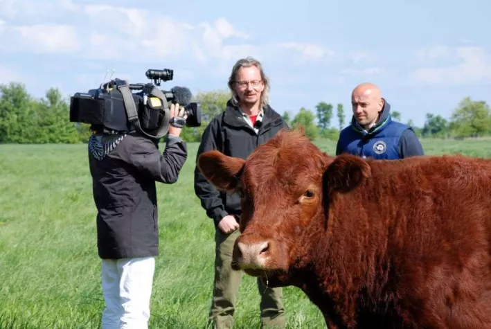 Bild: Kuhflüstern auf der Biofach 2012