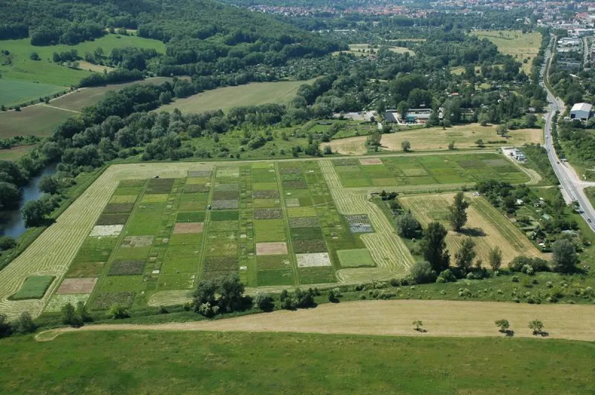 Luftbild des Jena Experiments: Parzellen der Biodiversitätsforschung. ((Foto: Jena Experiment))