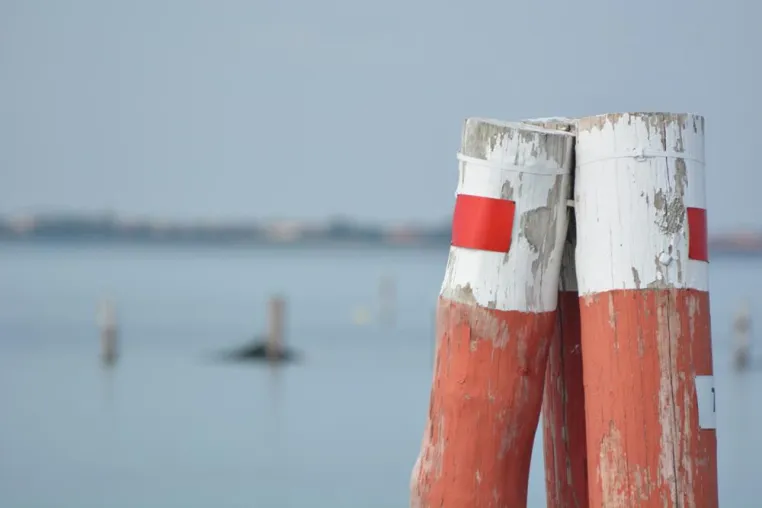 Bild: Die FVGmarinas stellen sich vor