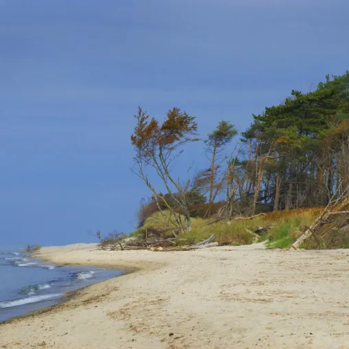 Bild: Fotoreise „Strandgut und viel Mee(h)r“ an die Ostseeküste im Nationalpark Vorpommersche Boddenlandschaft