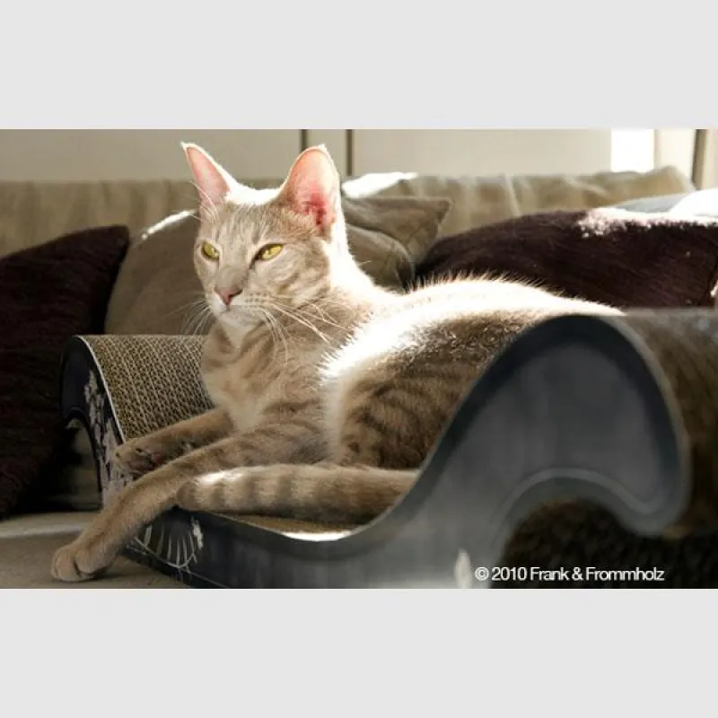 Designermöbel für Katzen aus Wellpappe. Foto: cat-on®