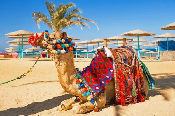 Bild: Aktuelle Sicherheitslage in Ägypten