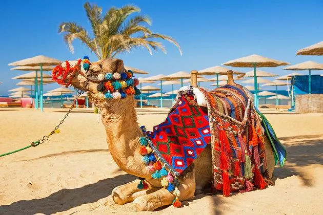Bild: Aktuelle Sicherheitslage in Ägypten