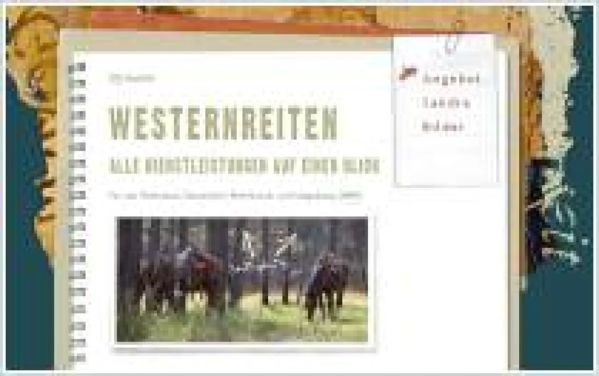 Westernreiten mit Westerntrainerin.com