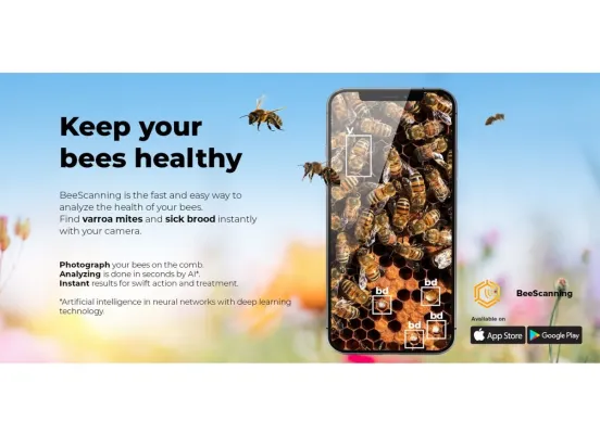 Bild: Jetzt können Imker mit ihren Smartphone und KI kranke Brut finden