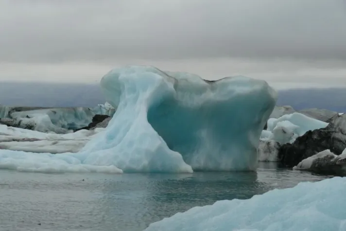 Bild: Schwimmende Landschaft - ein Ausstellungskatalog