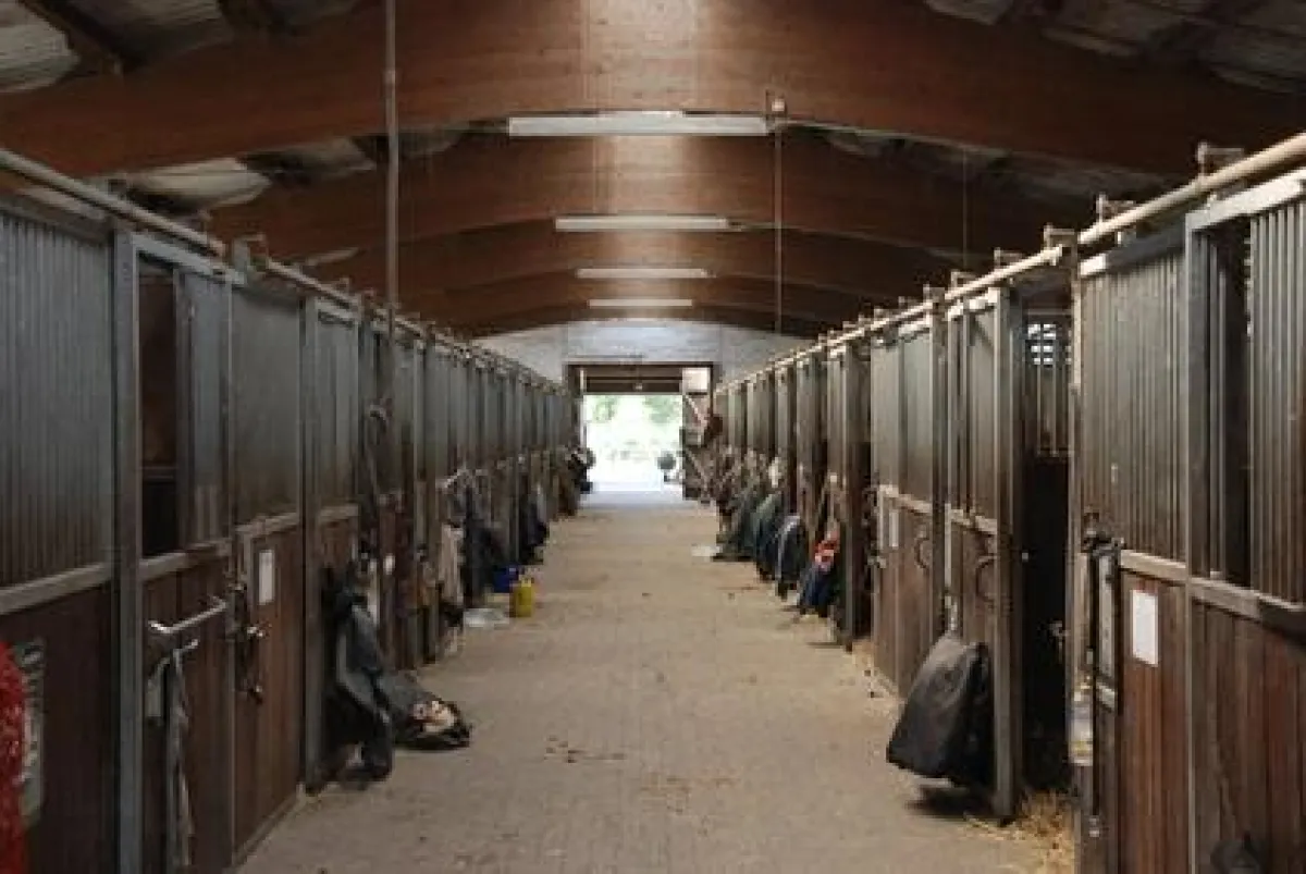 Haftpflichtversicherung für Reitanlagen (Foto: © mixmotive - fotolia.de)