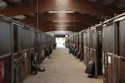 Tierversicherung: Reitverein mir der Haftpflicht geschützt Bild: Tierversicherung: Reitverein mir der Haftpflicht geschützt