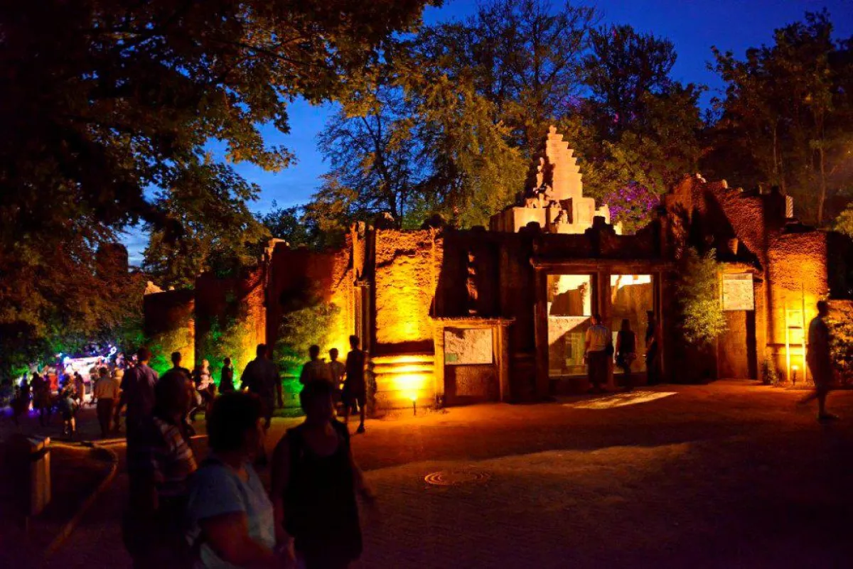 Am 28. und 29. August 2015 lädt der Zoo Osnabrück zu den diesjährigen Dschungelnächten ein.