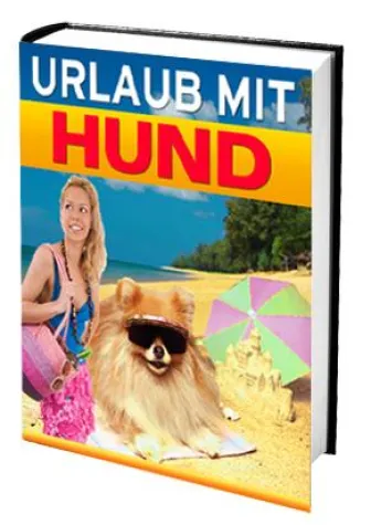 Bild: Urlaub mit Hund