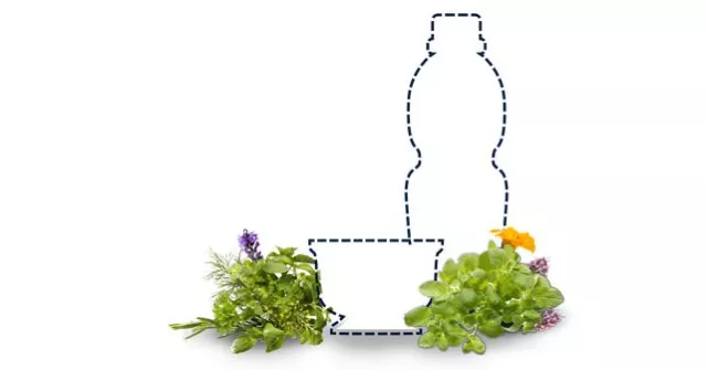 Bild: Döhler bringt natürliche Kräuter & Gewürzextrakte sowie natürliche Blüten-Aromen auf den Markt