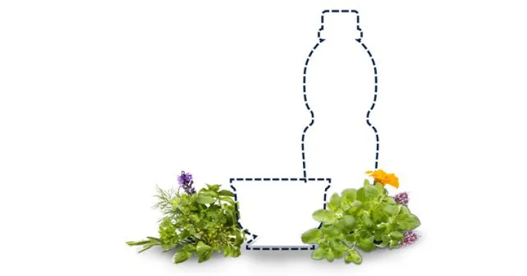 Bild: Döhler bringt natürliche Kräuter & Gewürzextrakte sowie natürliche Blüten-Aromen auf den Markt