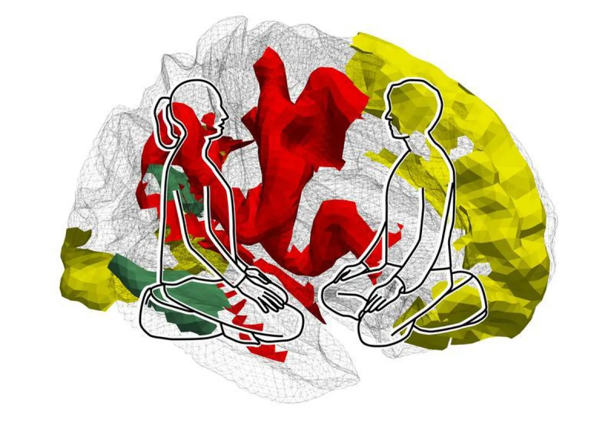 Training to understand the feelings and thoughts of others induces structural changes in two divergent social brain networks. (MPI CBS)