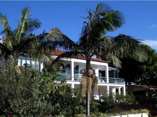 Bild: Urlaub auf der Blumeninsel Madeira