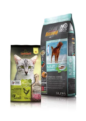 Bild: BEWITAL petfood – Ein starker Partner für den österreichischen Fachhandel