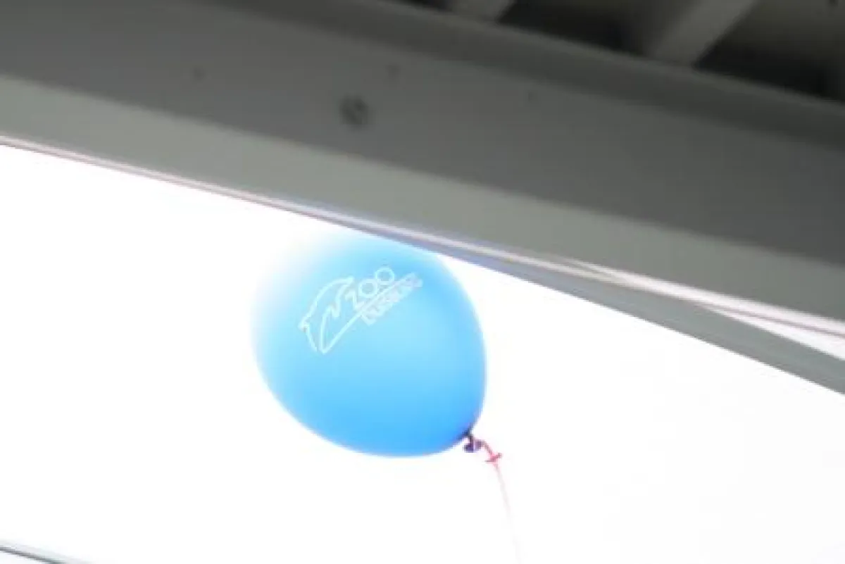 Der zooeigene Ballon schwebt unter dem Hallendach der Delfinariums (WDSF-Foto)