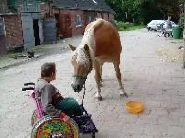 Therapeutisches Reiten – Freiheit auf dem Pferderücken Bild: Therapeutisches Reiten – Freiheit auf dem Pferderücken