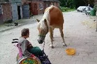 Bild: Therapeutisches Reiten – Freiheit auf dem Pferderücken