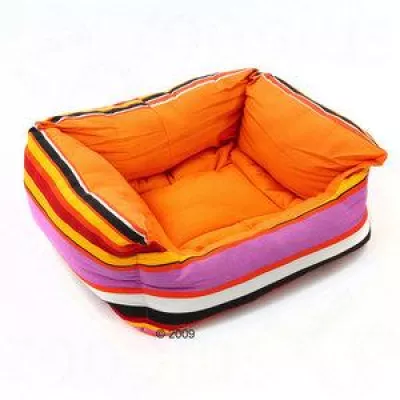 Bild: Frühjahrsputz - Zeit für gute Laune