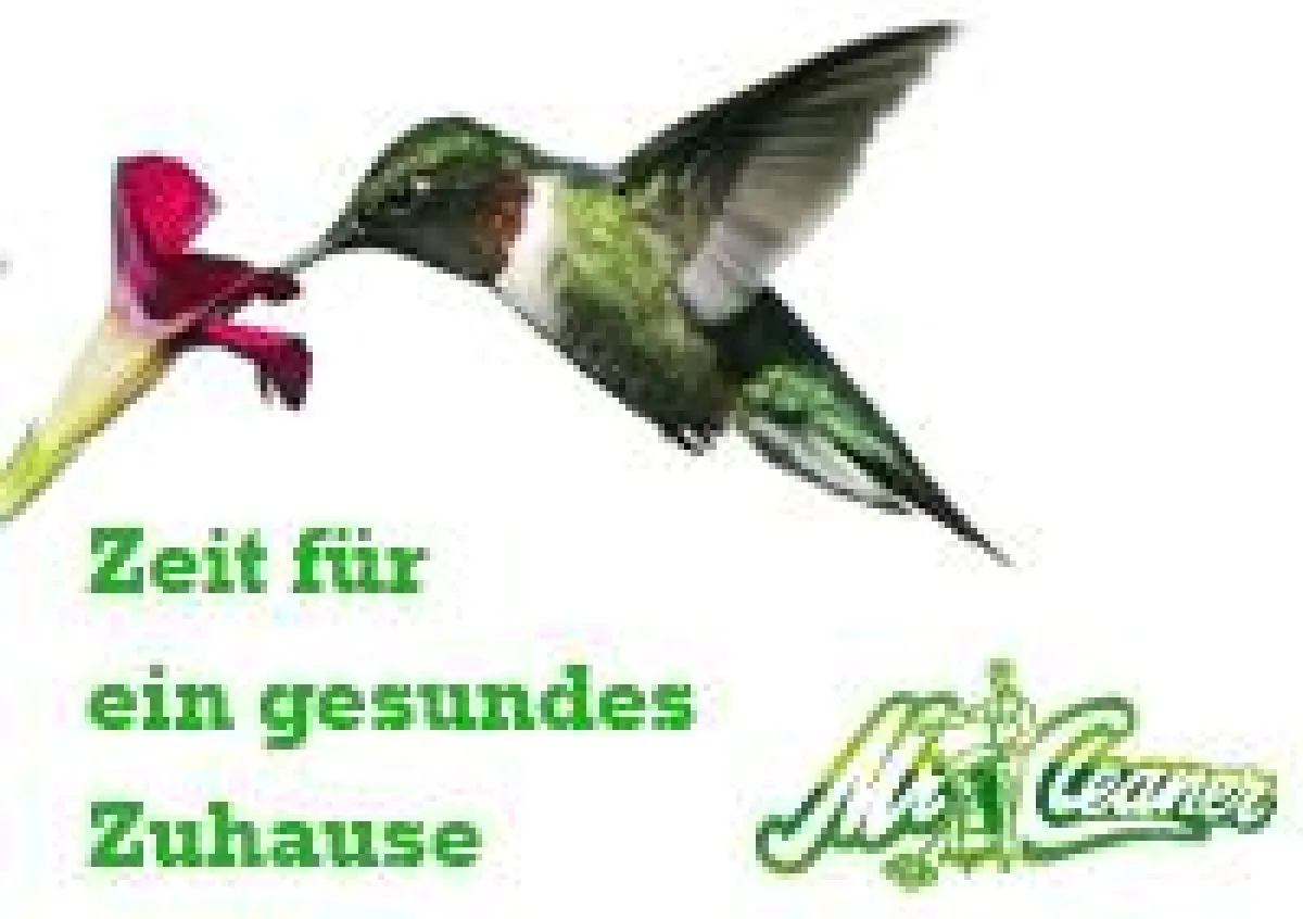 Zeit für ein gesundes Zuhause