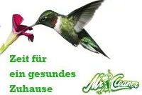 Bild: Mr. Cleaner - Die Allergiegerechte Wohnungsreinigung und Raumpflege