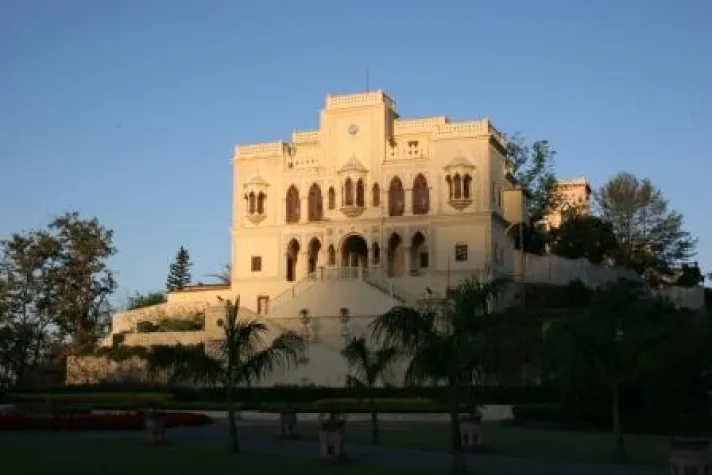 Schäfchen zählen adé Bild: Schäfchen zählen adé