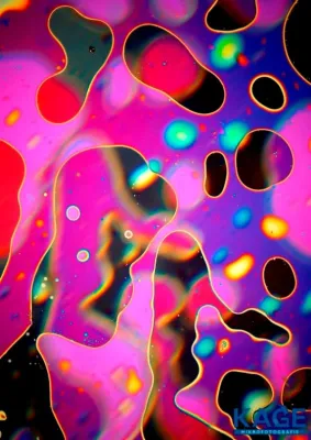 KAGE Mikrofotografie auf der Raum Trifft Kunst 2012 Ausstellung Bild: KAGE Mikrofotografie auf der Raum Trifft Kunst 2012 Ausstellung