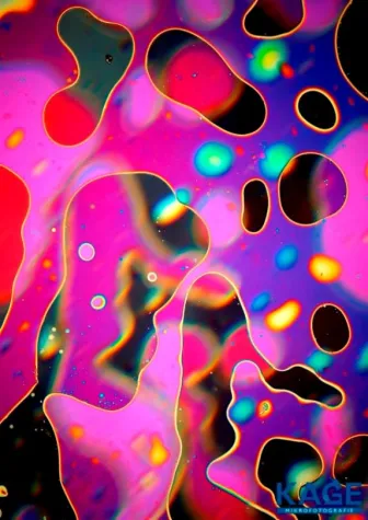 Bild: KAGE Mikrofotografie auf der Raum Trifft Kunst 2012 Ausstellung