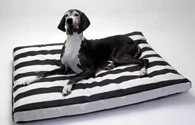 Bild: Orthopädische Hundekissen für sehr große Hunde