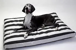 Bild: Orthopädische Hundekissen für sehr große Hunde