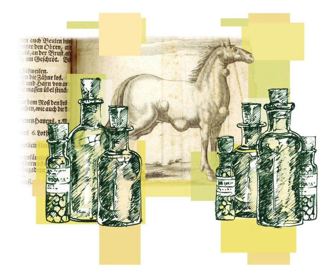 Homöopathie in der Pferdeheilkunde - Dr. med. vet. I. Luz