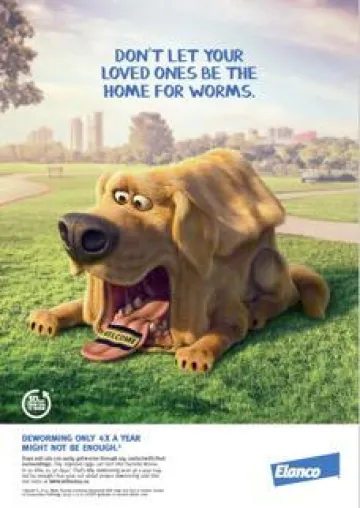 Pitch-Gewinn: Saatchi & Saatchi entwickelt europaweite Kampagne für Elanco Bild: Pitch-Gewinn: Saatchi & Saatchi entwickelt europaweite Kampagne für Elanco