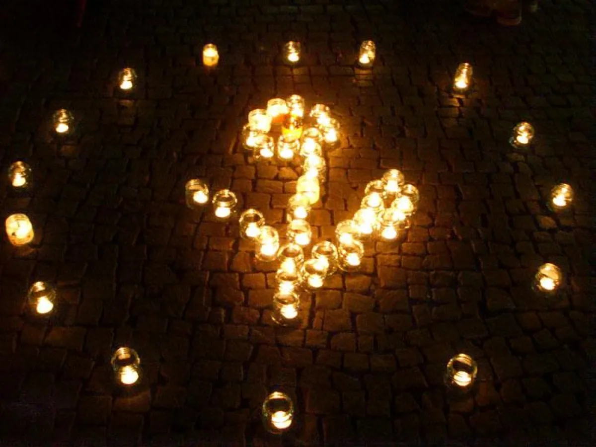 Kerzenaktion auf dem Karlsruher Marktplatz zum Weltvegantag. Zu sehen ist die Vegan-Blume.