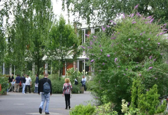 Bild: Bachelor Studium Medizin-Ökonomie an der Rheinischen Fachhochschule - Gute Chancen in der Gesundheitsbranche