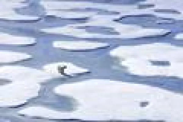 Bild: Klimaschutz eröffnet neue Investitionschancen
