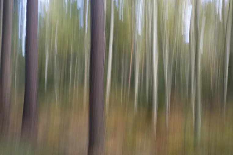 Bild: Fotoseminar „Wald-Allerlei“ auf NABU Gut Sunder mit der Fotoschule des Sehens