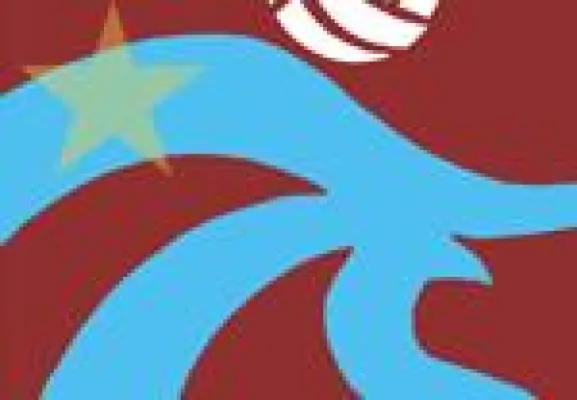 Bild: Fussballclub Trabzonspor erwirkt einstweilige Verfügung gegen Betreiberin einer deutsch-türkischen Online-Plattform